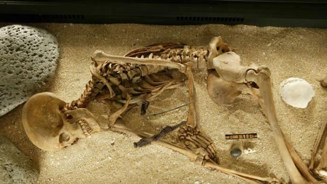 基督教之前（1000 C.E.）某古代冰岛女性的骨骸。