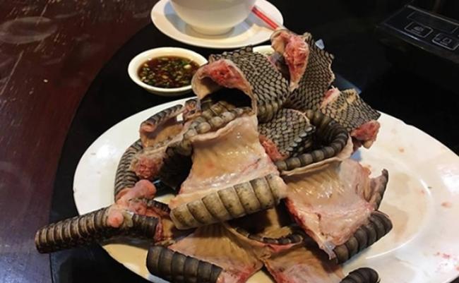 泰国曼谷餐馆卖受保护野生动物 食客多是中国人