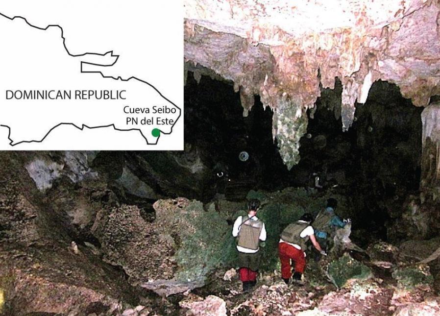 塞博洞位于多米尼加共和国东部国家公园。在这个洞穴中栖息着一小群蝙蝠。研究人员认为，这种环境可能也是盲眼洞穴蜘蛛能够生存下来的原因。