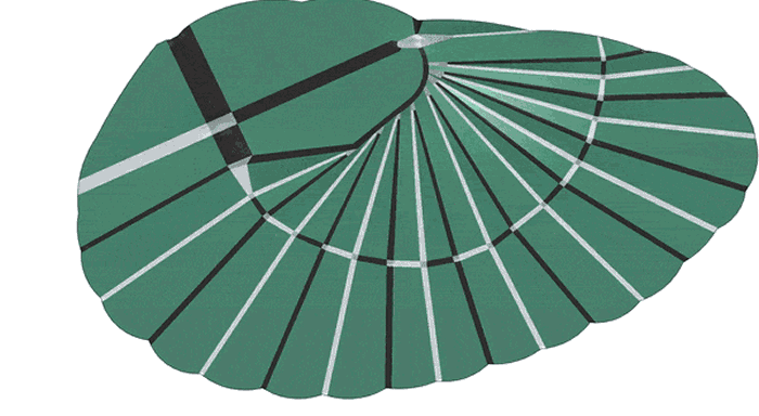 受蠼螋翅翼启发 科学家设计出具有非凡折叠能力的人工翼翅