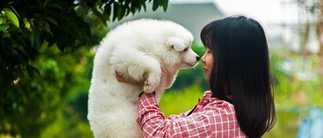 美国约翰∙霍普金斯大学科学家发现狗对其主人表情的反应