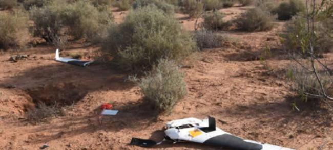 澳洲男子价值8万美元航拍机入侵楔尾雕领空遇袭失控坠毁