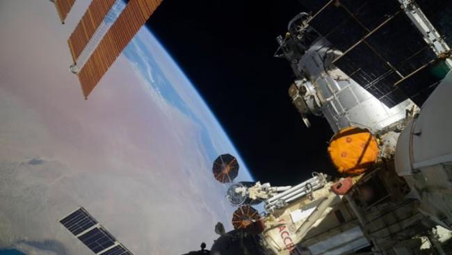 美国航天航空局向国际空间站运送货物的织物袋上发现黑霉