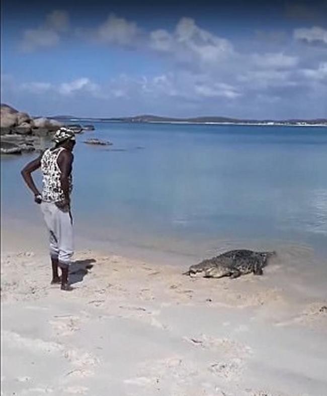 澳洲雍古族土著把鳄鱼当宠物 专家斥不要幼稚自找麻烦
