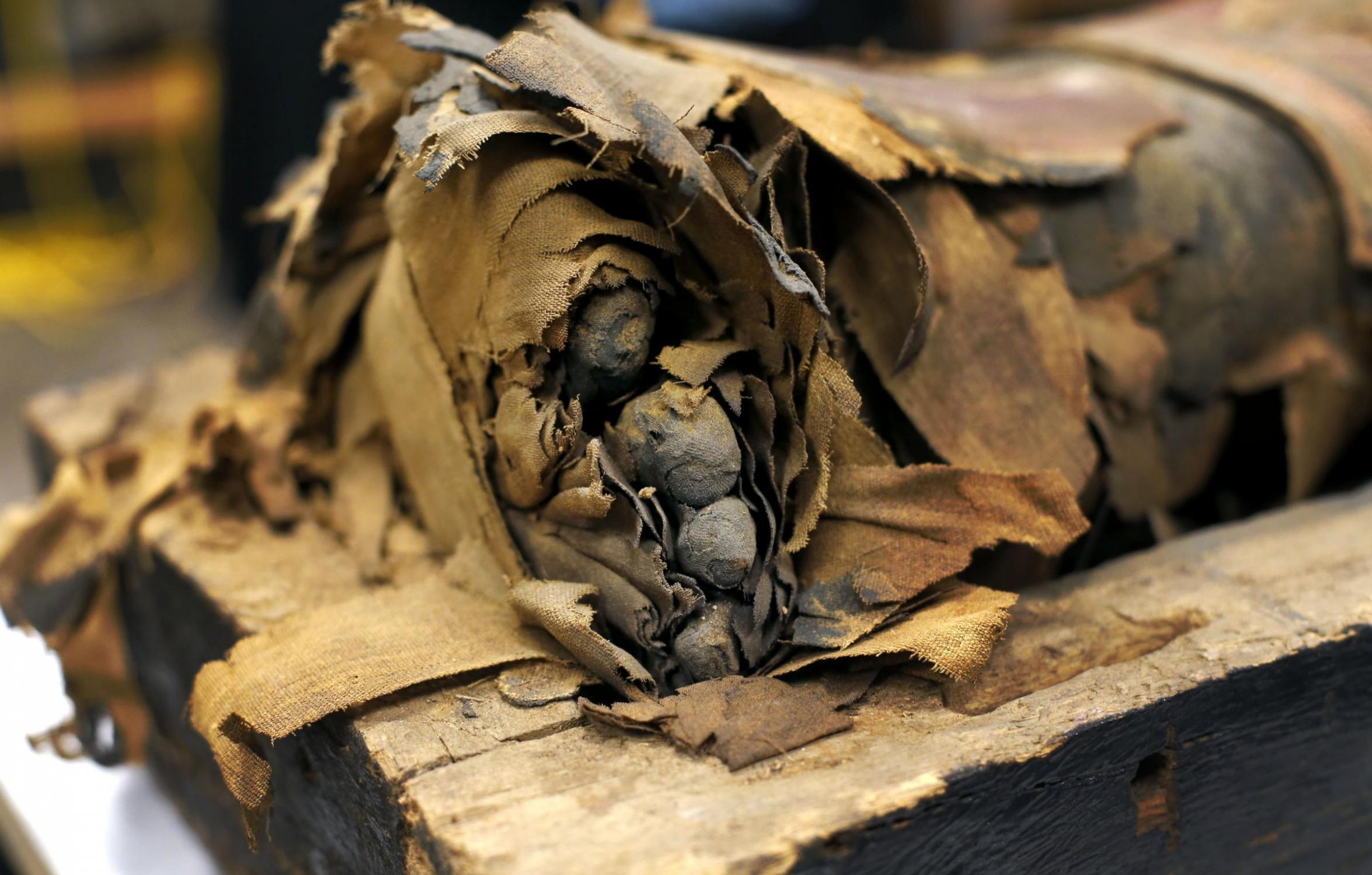 美国芝加哥菲尔德博物馆打开“祭司之子”木乃伊棺材