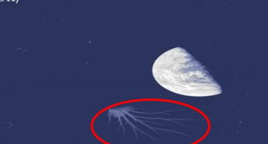 阿波罗8号拍到神秘影像：诡异触须伸向地球