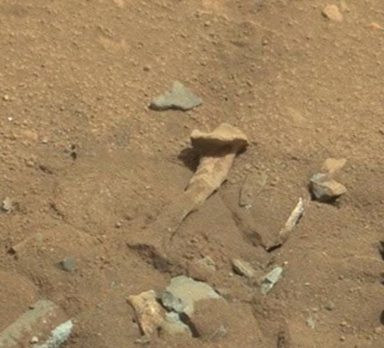 NASA火星照片惊现外星人大腿骨？