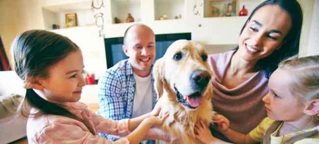瑞典最新研究发现家里养宠物狗的孩子不易患上哮喘病