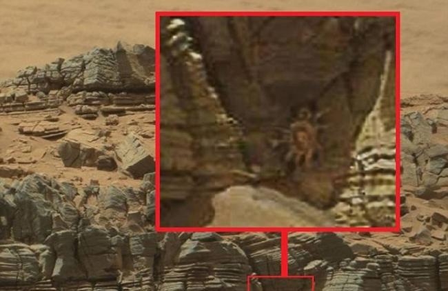 10月初，有人宣称发现藏在火星洞穴中的“抱脸虫螃蟹”