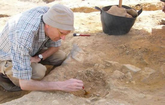 考古人员在埃及古墓中发现几只猫的骨骼