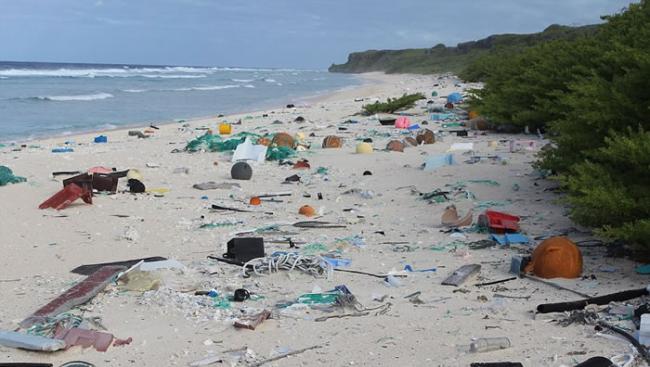 杳无人烟的南太平洋亨德孙岛怎么会有高密度的垃圾量？