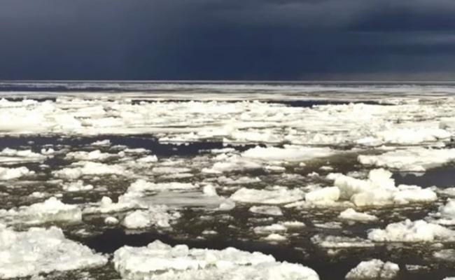 北极最古老冰层30年内减少95% 新冰易融加剧海平面上升
