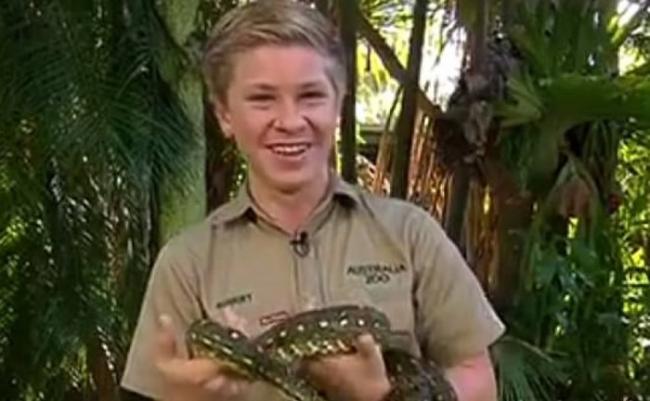 虎父无犬子：澳洲“鳄鱼先生”欧文13岁儿子勇擒蟒蛇