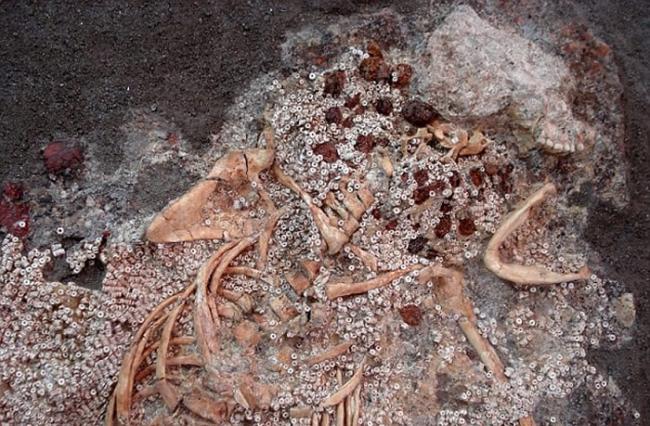 新研究发现6000年前的石器时代已有琥珀交易 比已知早2000年