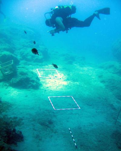 人类考古研究逐渐从陆地延伸到深不可测的海底