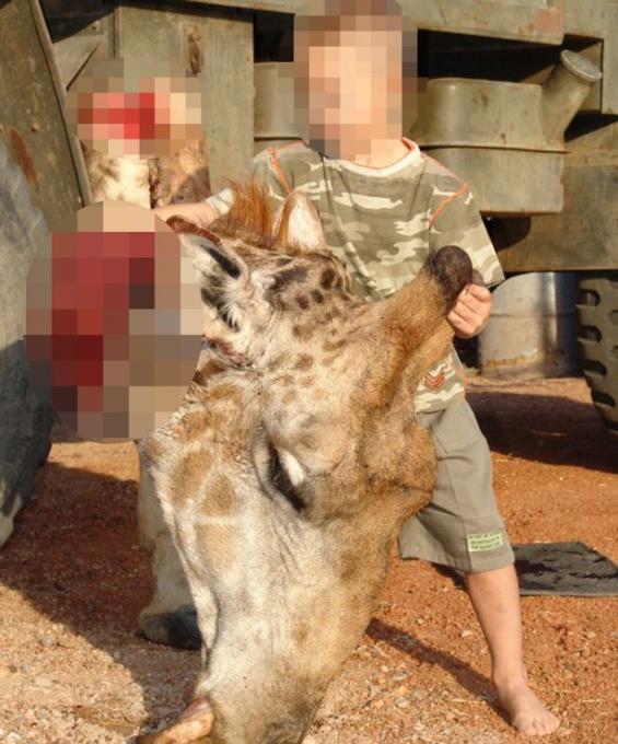 南非有反对捕猎组织直斥这些照片十分可怕。