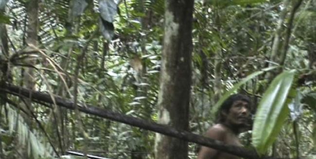 一群卡瓦希瓦族(Kawahira)原住民穿梭在巴西雨林中。