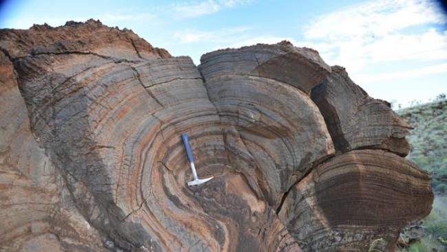 如图所示，这是27亿年前古澳大利亚州的一处叠层石，其历史可追溯至27亿年前，显示单细胞光合作用微生物曾生活在湖泊之中。该研究表明微生物可以幸存于远古稀薄大气层。
