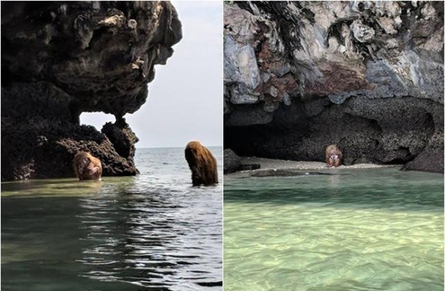 泰国海边惊见“半人半猿”谜样生物 诡异笛声伴奏游客呆住