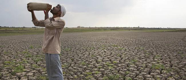 彭博社预测2019年底全球将面临粮食短缺 厄尔尼诺现象将引发灾害