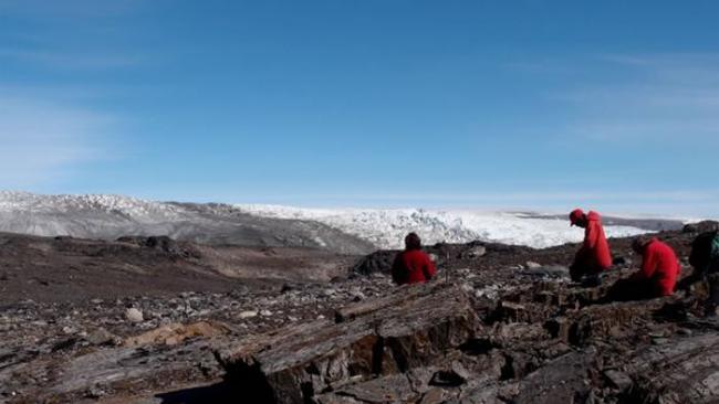 科学家们在冰层褪去的格陵兰土地上寻找化石。 PHOTOGRAPH BY LAURE GAUTHIEZ