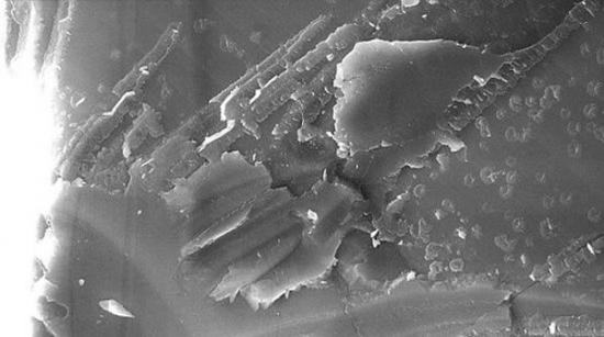 Nakhla陨石切片样品的显微照片。研究人员在这块1.7克重的样品中发现了这种矿物，而这块陨石本身是由英国伦敦的自然历史博物馆保存的