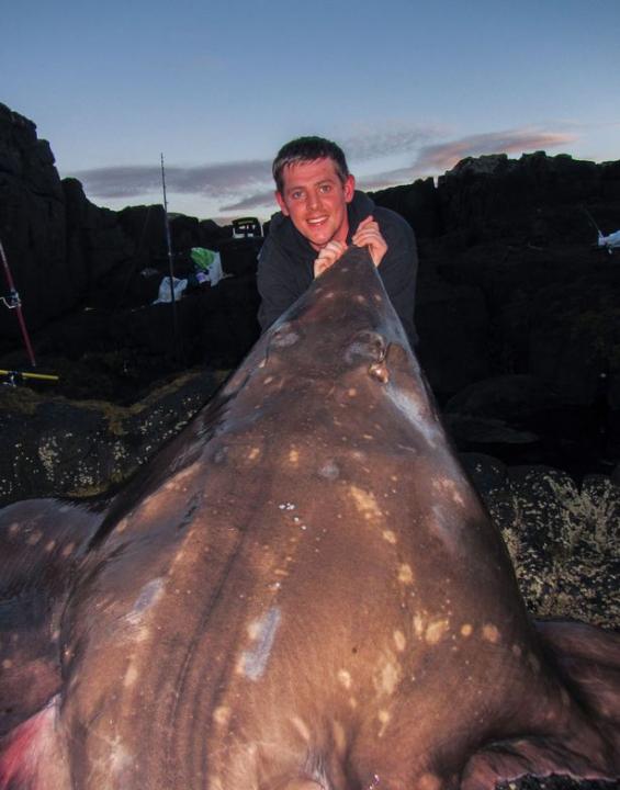 英国捕鱼者在斯凯岛沿岸捕获188斤重巨型鳐鱼