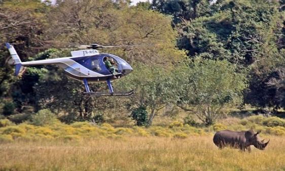 工作人员驾直升机追踪的园内的犀牛