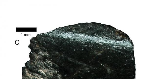 澳洲考古学家发现目前全球最古老石斧 约5万年历史