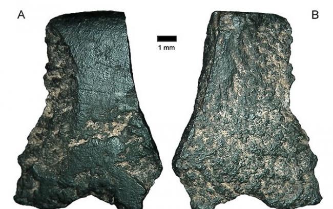 澳洲考古学家发现目前全球最古老石斧 约5万年历史