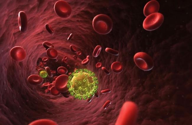 图为模拟爱滋病毒处于血液中的情况。