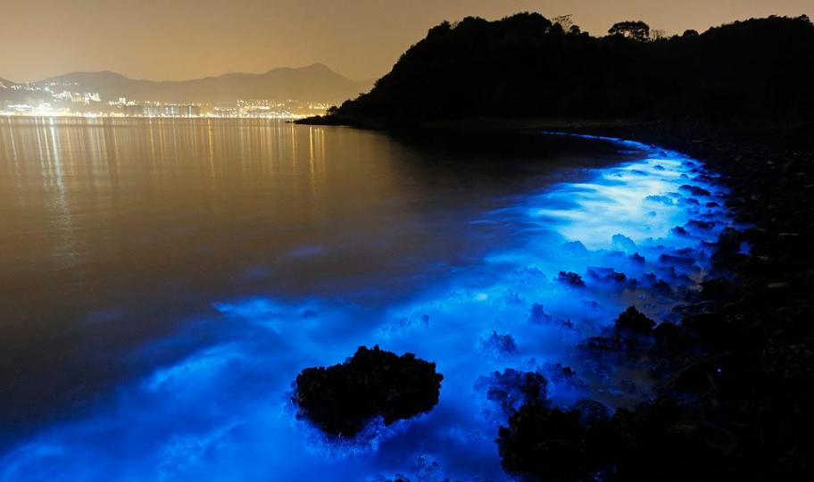 中国香港海岸出现蓝色荧光海滩