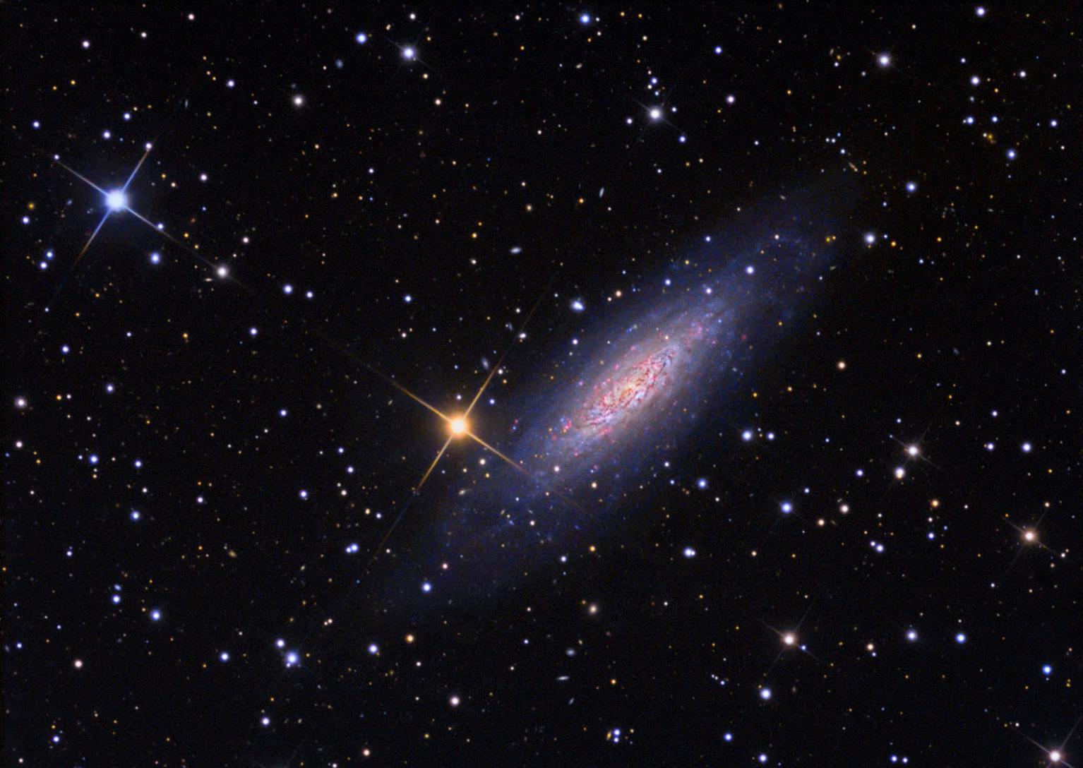 另类星系NGC 6503孤独地存在于宇宙空间中