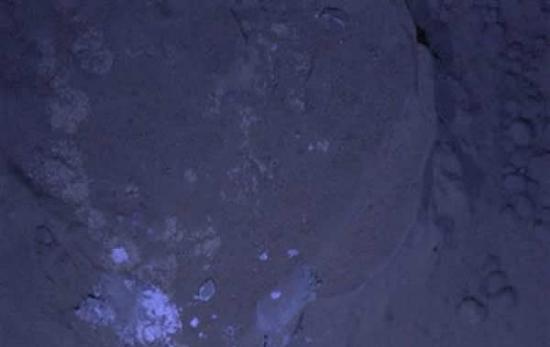 2013年1月22日，好奇号火星车使用机械臂末端的放大镜成像仪拍摄到夜景火星表面