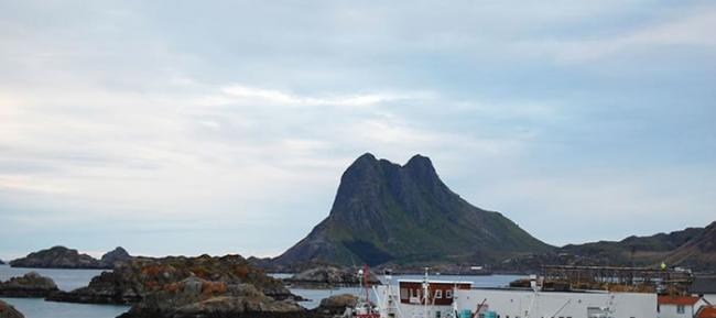 挪威在一片争议声下展开捕鲸期。