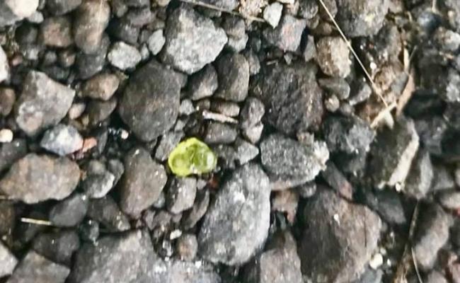 居民在火山附近发现“绿宝石”。