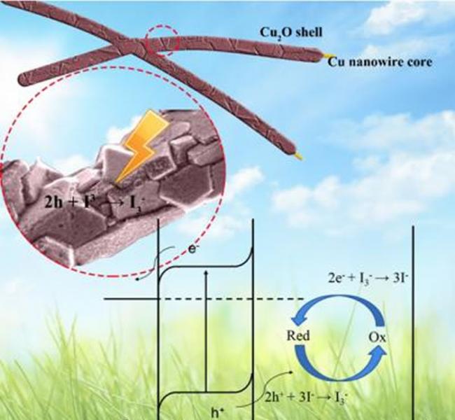 铜纳米线/氧化亚铜半导体-液结太阳能电池结构及工作原理示意图，Cu2O与Cu NWs接触时其能带会发生如图所示的弯曲，Cu2O中的光生电子会倾向于向Cu NWs