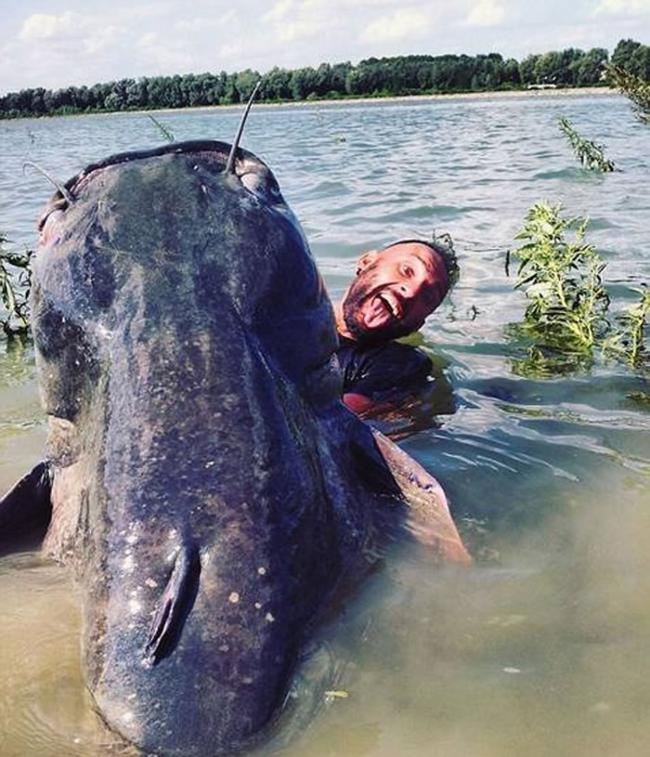 意大利渔民Yuri El Diablo Grisendi钓上一条重达120公斤鲶鱼