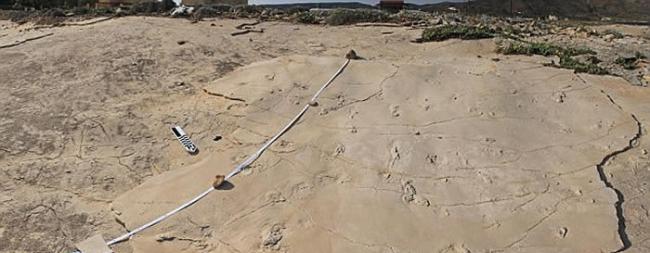 希腊克里特岛上发现疑似570万年人类脚印？人类当时却还在非洲