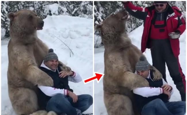 战斗民族：俄罗斯男子雪地获大棕熊拥抱