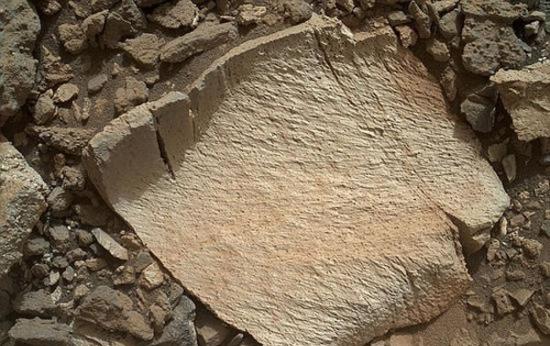 美国宇航局“好奇”号火星车在火星地表最新发现一组岩石，并取名为“麋鹿”和“驼鹿”，它们含有大量二氧化硅和氢元素，与之前火星上探测到的任何岩石都不一样。