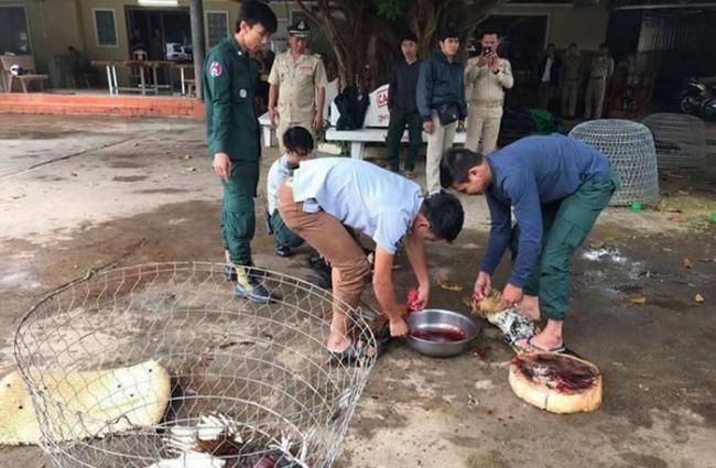 柬埔寨干丹省法院判决当地92只“斗鸡”死刑 鸡肉被警员吃光