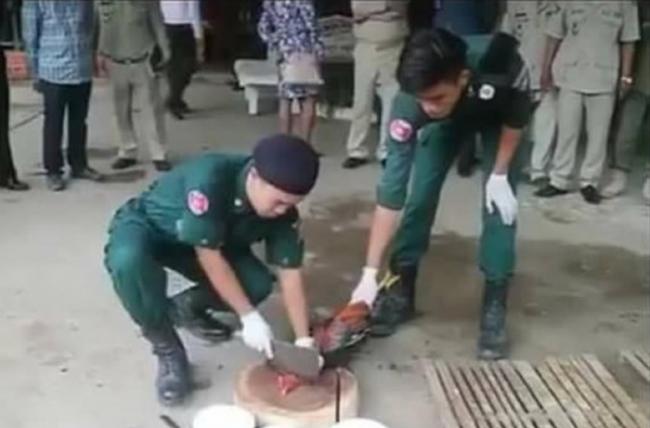 柬埔寨干丹省法院判决当地92只“斗鸡”死刑 鸡肉被警员吃光