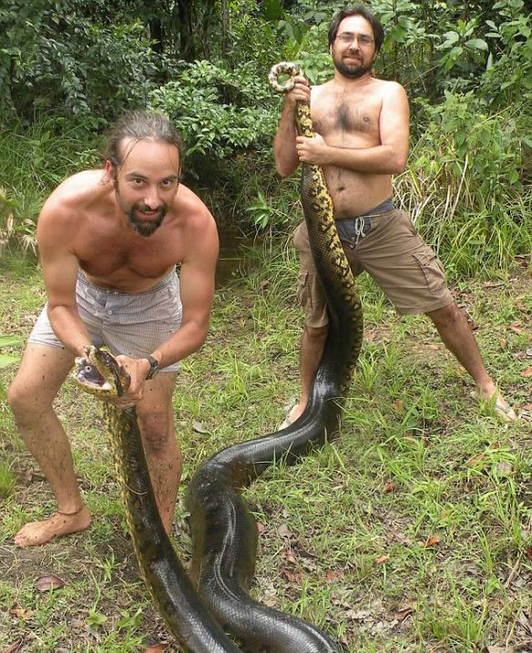法属圭亚那教师捕获17英尺巨蟒