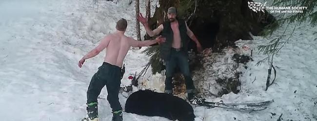 美国恶魔父子在阿拉斯加残忍射杀冬眠黑熊母子 以沾满血水的手击掌