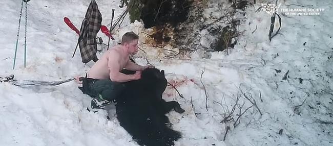 美国恶魔父子在阿拉斯加残忍射杀冬眠黑熊母子 以沾满血水的手击掌