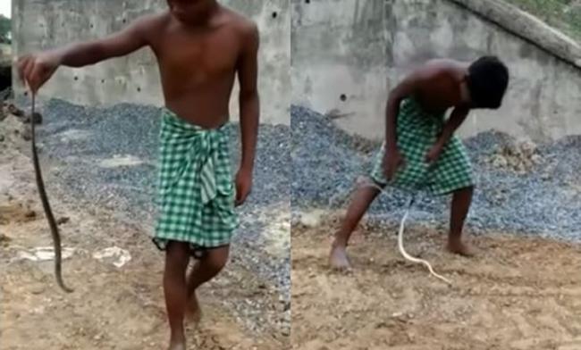 印度男孩玩弄小蛇 惹怒对方窜入裤裆