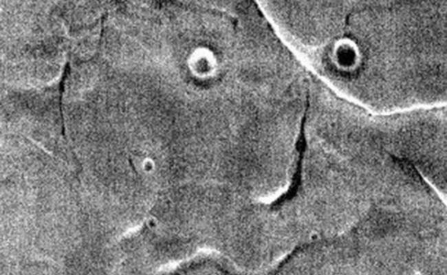 美国火星漫游者号图片首曝光 似盯着人的脸？