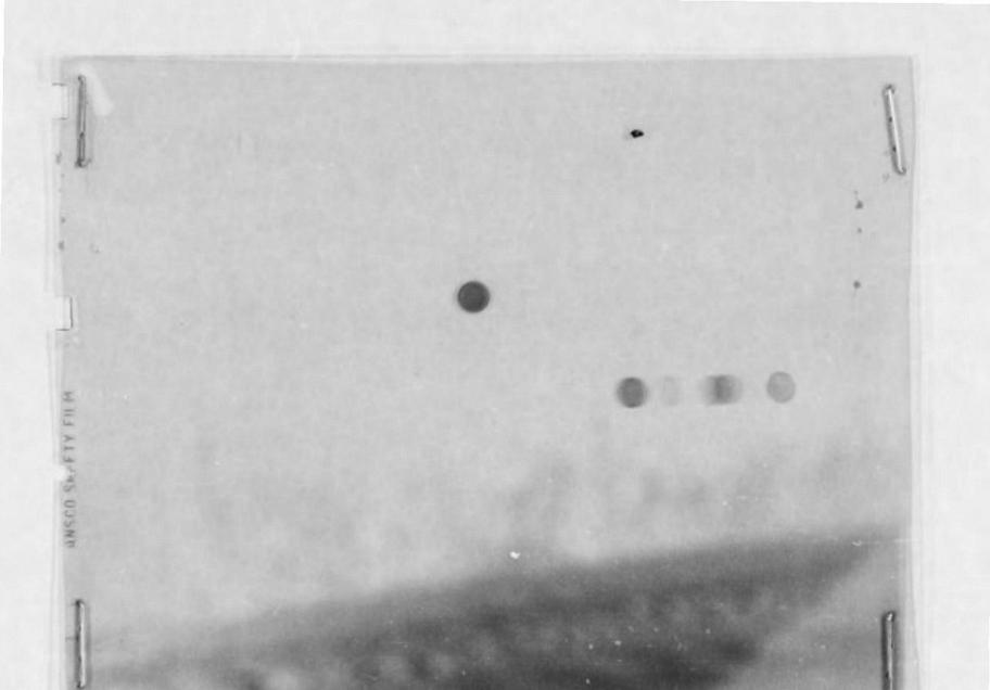 本张照片拍摄于1949年的罗斯维尔，图中显示了一些点状飞行物，但研究人员并没有解释这是何种物体。