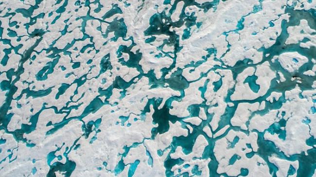 航拍机揭悲歌：法国摄影师Florian Ledoux在加拿大拍到北极熊跳过浮冰断裂前行